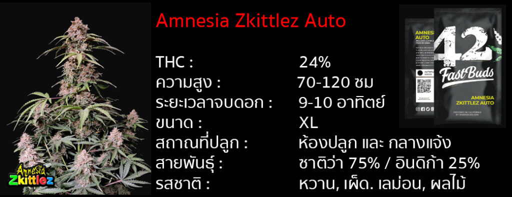 เมล็ดกัญชา Amnesia Zkittlez