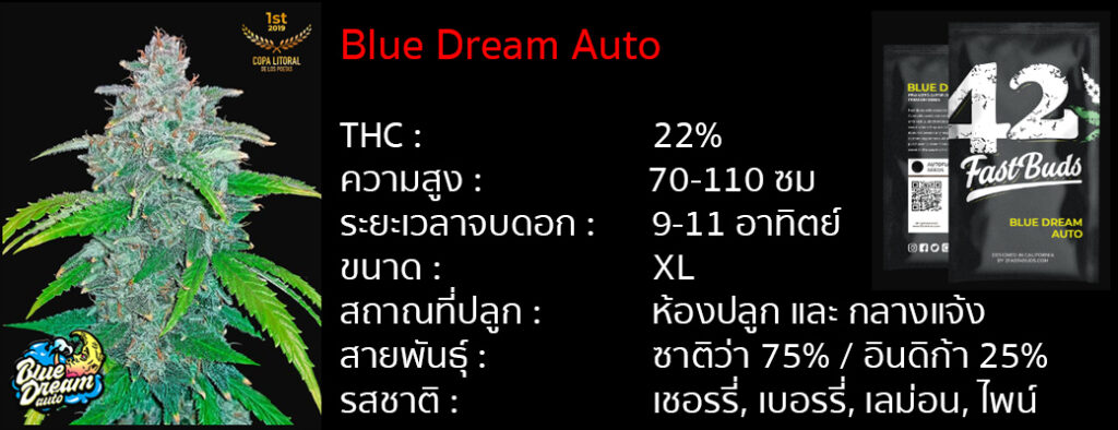 เมล็ดกัญชา Blue Dream