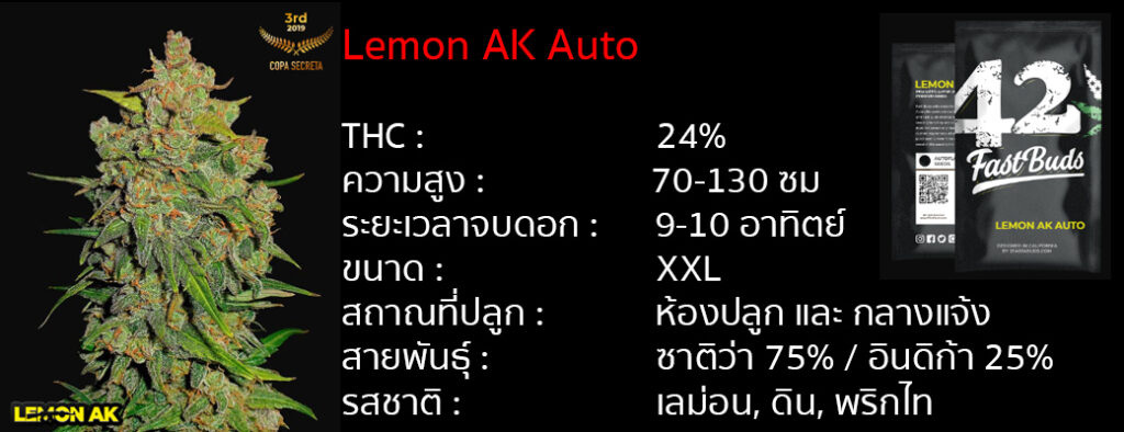 เมล็ดกัญชา Lemon AK