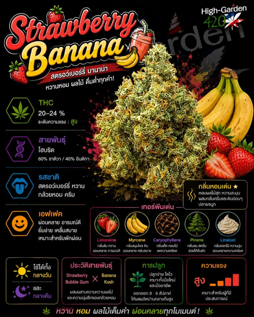 Strawberry Banana strain สายพันธุ์กัญชาไฮบริด THC 20-24%