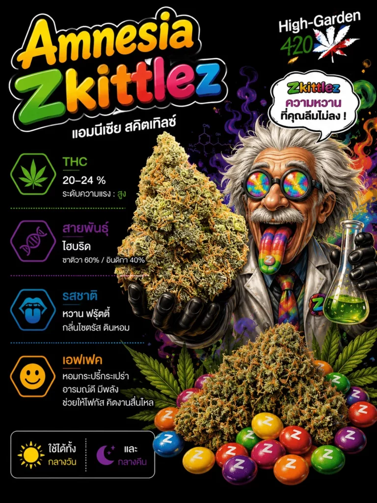 Amnesia Zkittlez สายพันธุ์กัญชาไฮบริด THC 20-24%