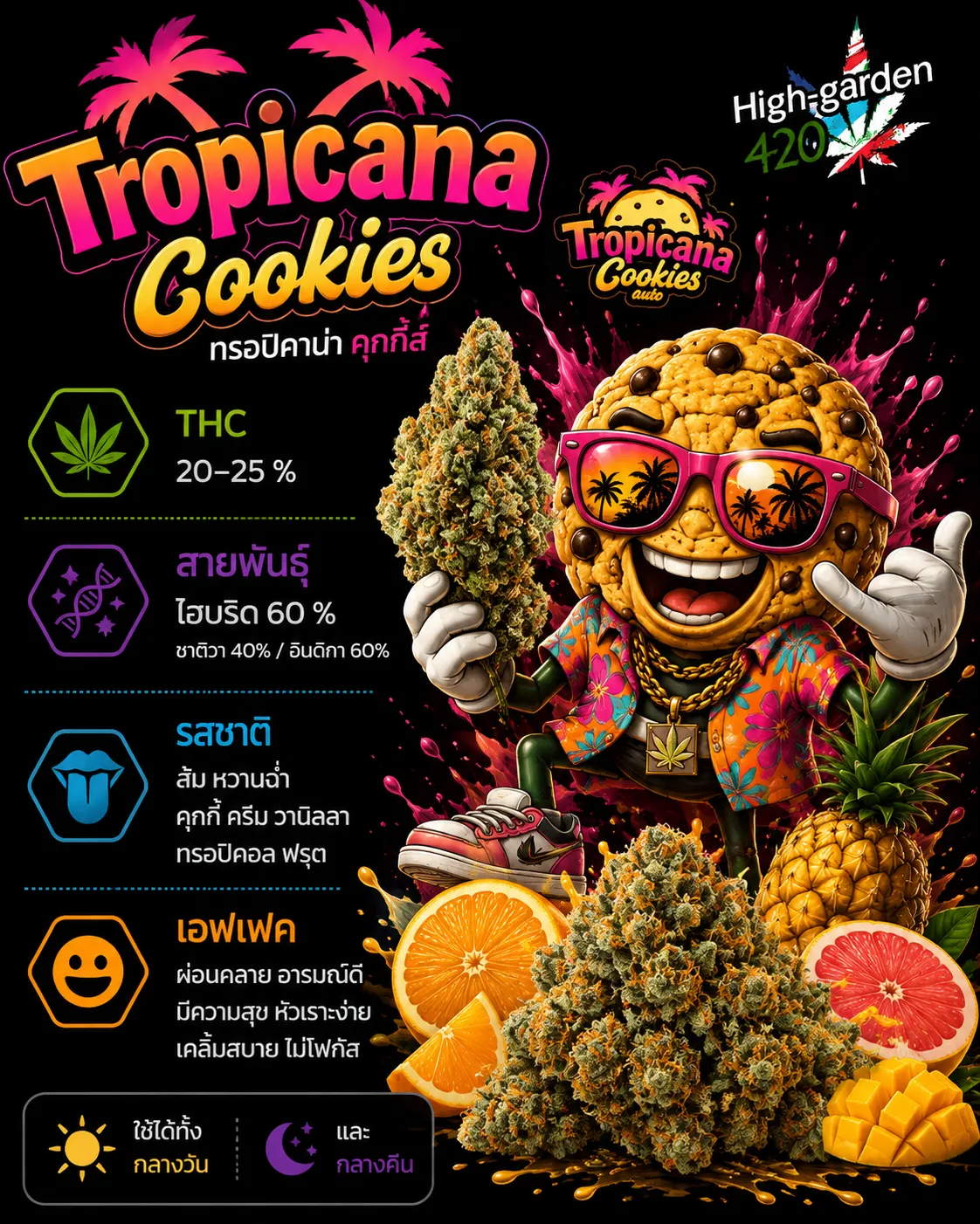 Tropicana Cookies สายพันธุ์กัญชาไฮบริด THC 20-25%