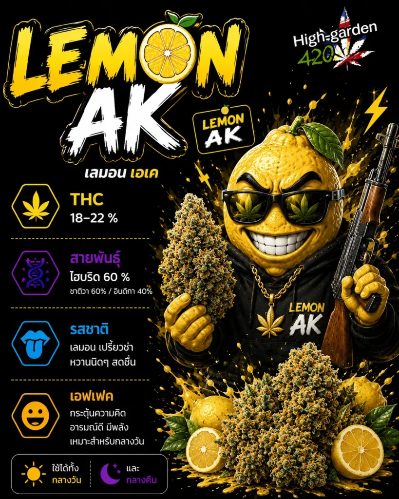 Lemon AK สายพันธุ์กัญชาไฮบริด THC 18-22%