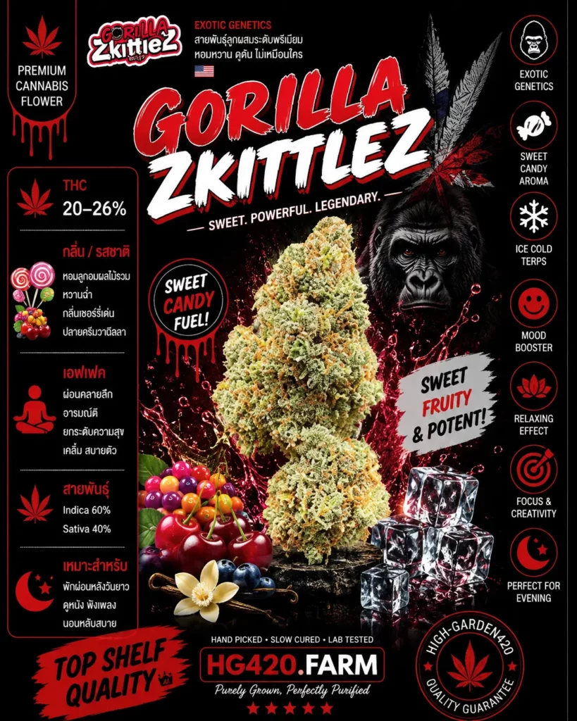 Gorilla Zkittlez strain ดอกกัญชาสายพันธุ์ Gorilla Zkittlez | High-garden420