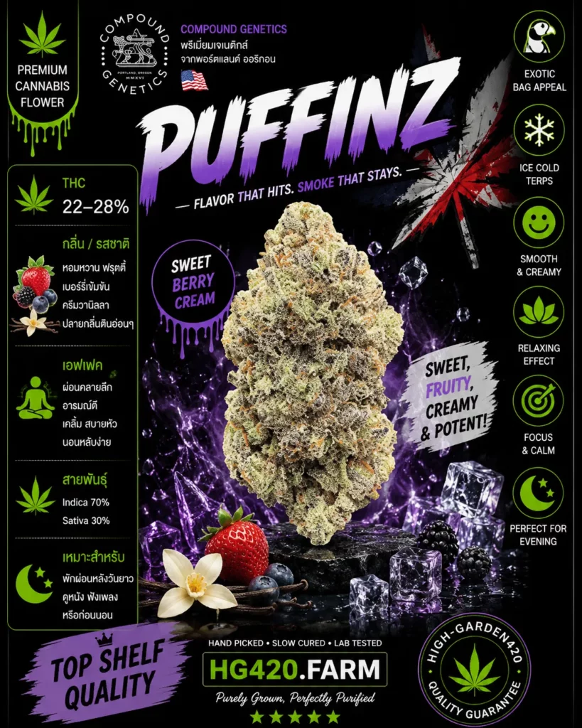 Puffinz strain ดอกกัญชาสายพันธุ์ Puffinz จาก Compound Genetics | High-garden420