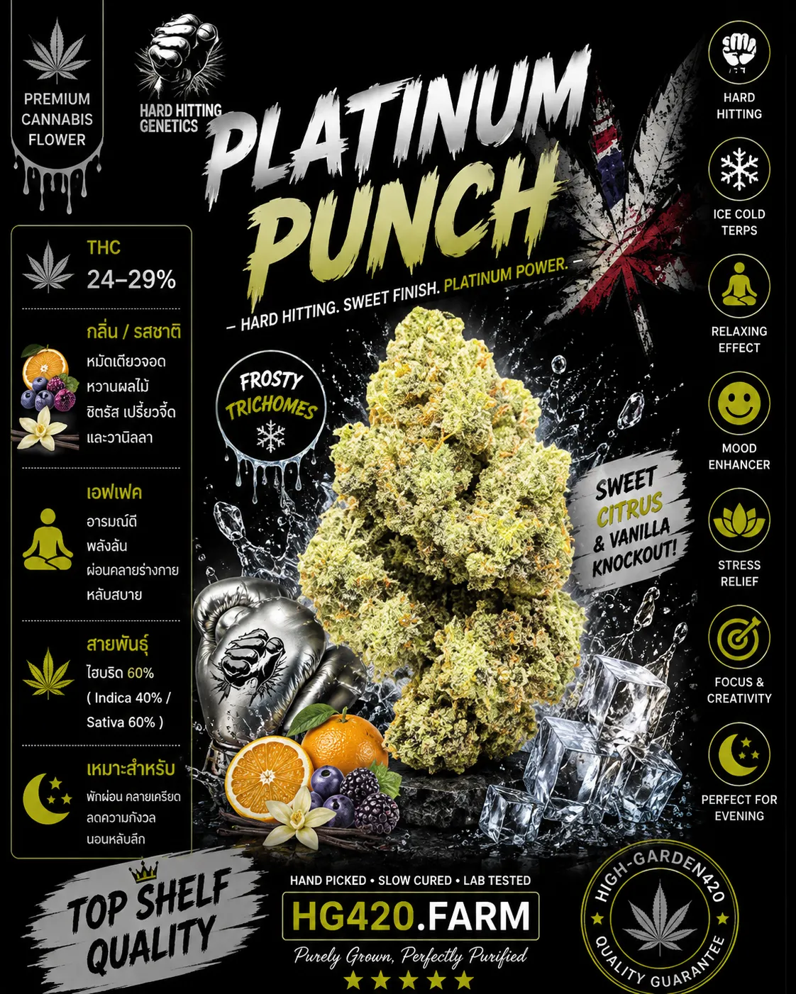 Platinum Punch strain ดอกกัญชาสายพันธุ์ Platinum Punch | High-garden420