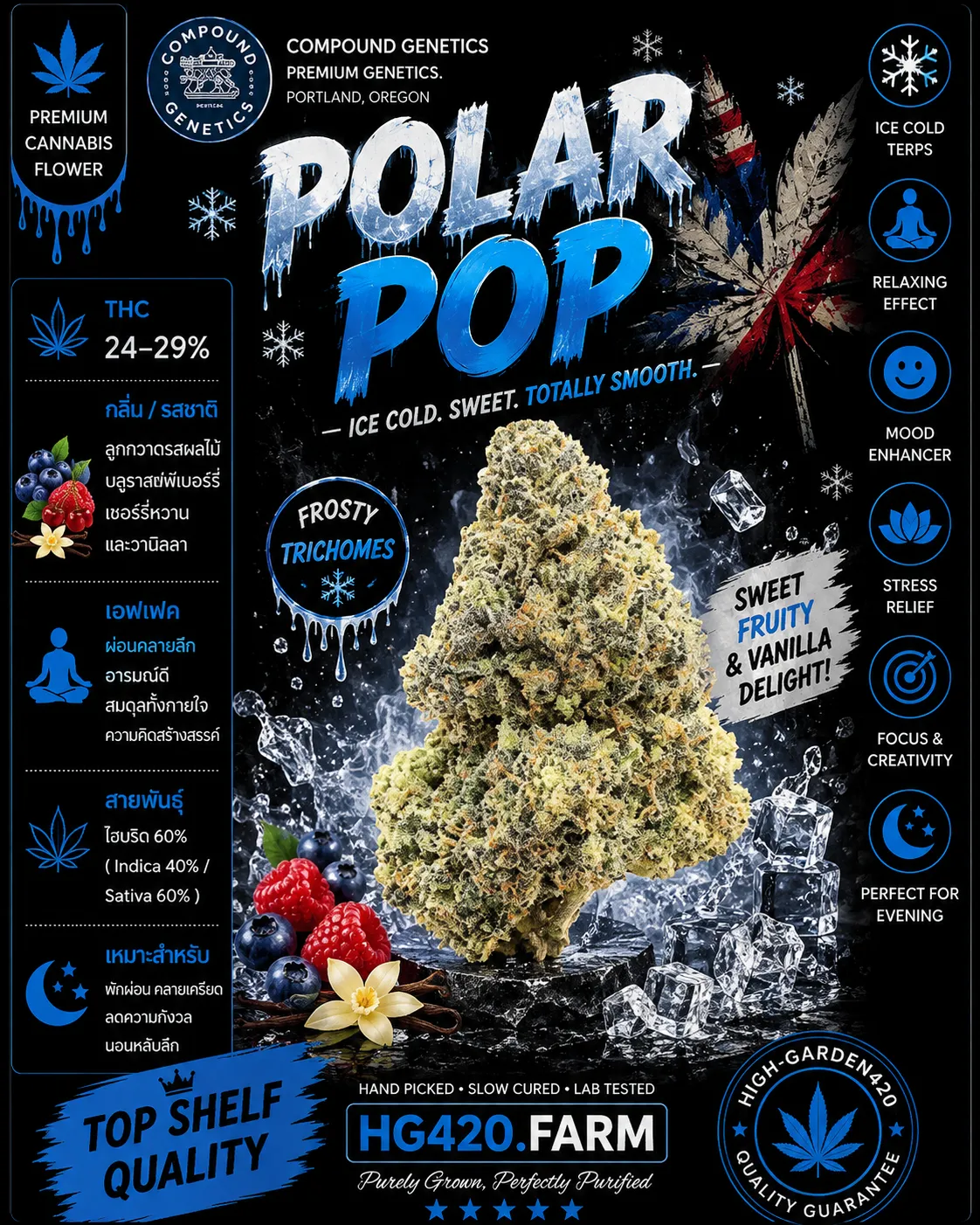 Polar Pop strain ดอกกัญชาสายพันธุ์ Polar Pop จาก Compound Genetics | High-garden420