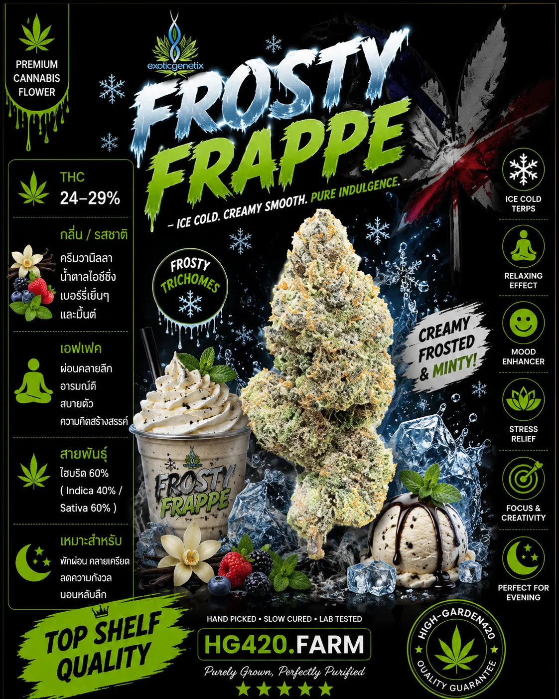 Frosty Frappe strain ดอกกัญชาสายพันธุ์ Frosty Frappe จาก Exotic Genetix | High-garden420