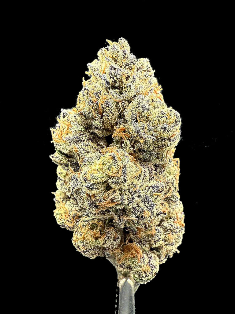White Runtz ( Compound ) 5