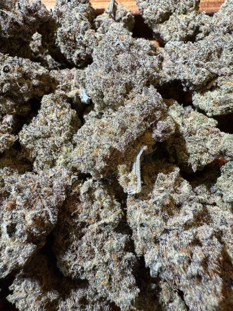 ดอกกัญชา Frozen Joker (Grow More Fire) ไฮบริดเคลือบด้วยไทรโครมหนาแน่นจนดูขาวฟูเหมือนเกล็ดน้ำแข็ง