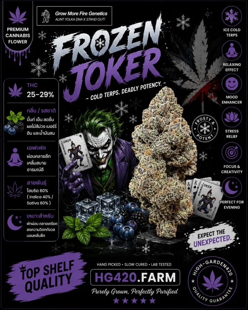 Frozen Joker strain สายพันธุ์กัญชา พร้อมข้อมูล THC กลิ่น รสชาติ และเอฟเฟกต์