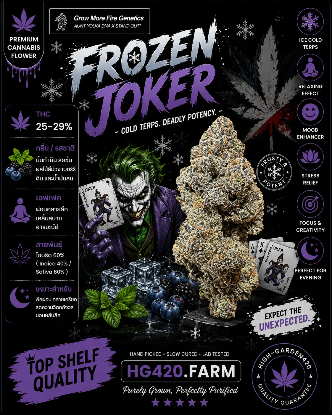 Frozen Joker strain สายพันธุ์กัญชา พร้อมข้อมูล THC กลิ่น รสชาติ และเอฟเฟกต์
