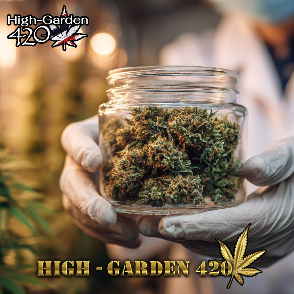 ดอกกัญชาออร์แกนิคในขวดแก้วจากร้านขายกัญชา High-Garden420 ปลูกเองแบบธรรมชาติ