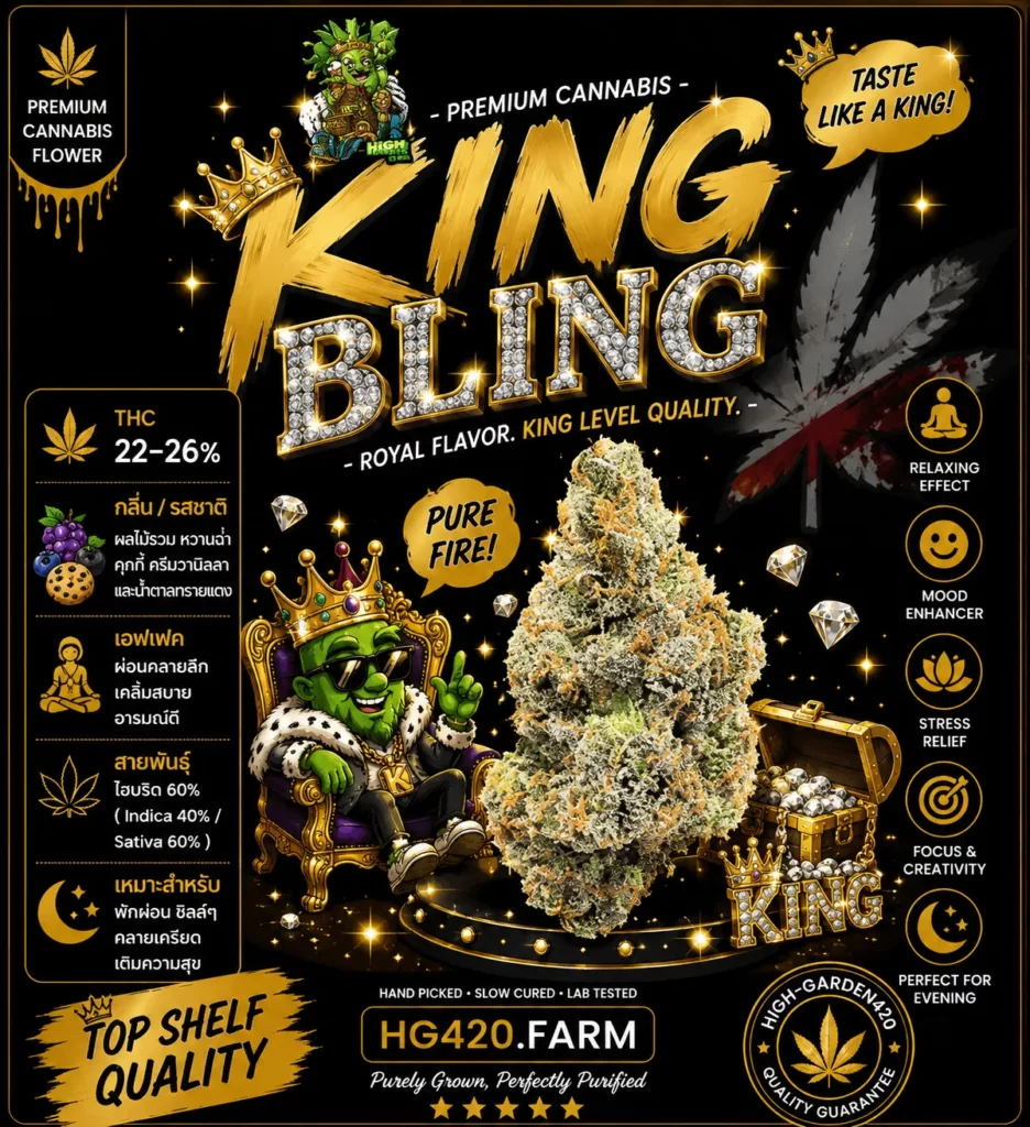 King Bling strain สายพันธุ์กัญชา Hybrid ดอกแน่นไตรโคมจัด