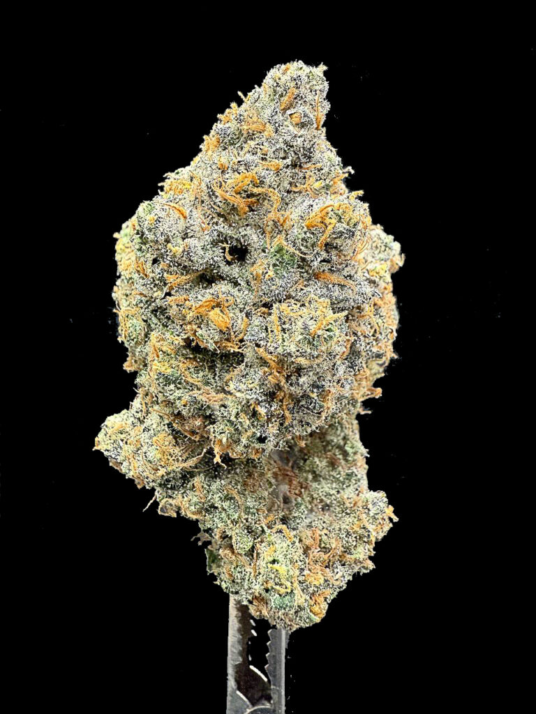 ดอกกัญชา Planet Bang Bang จาก Exotic Genetix ที่ร้านขายกัญชา High Garden420