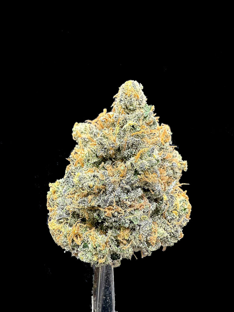 ดอกกัญชา Planet Bang Bang สายพันธุ์ Exotic จาก Exotic Genetix พร้อมจำหน่ายที่ร้านขายกัญชา High Garden420