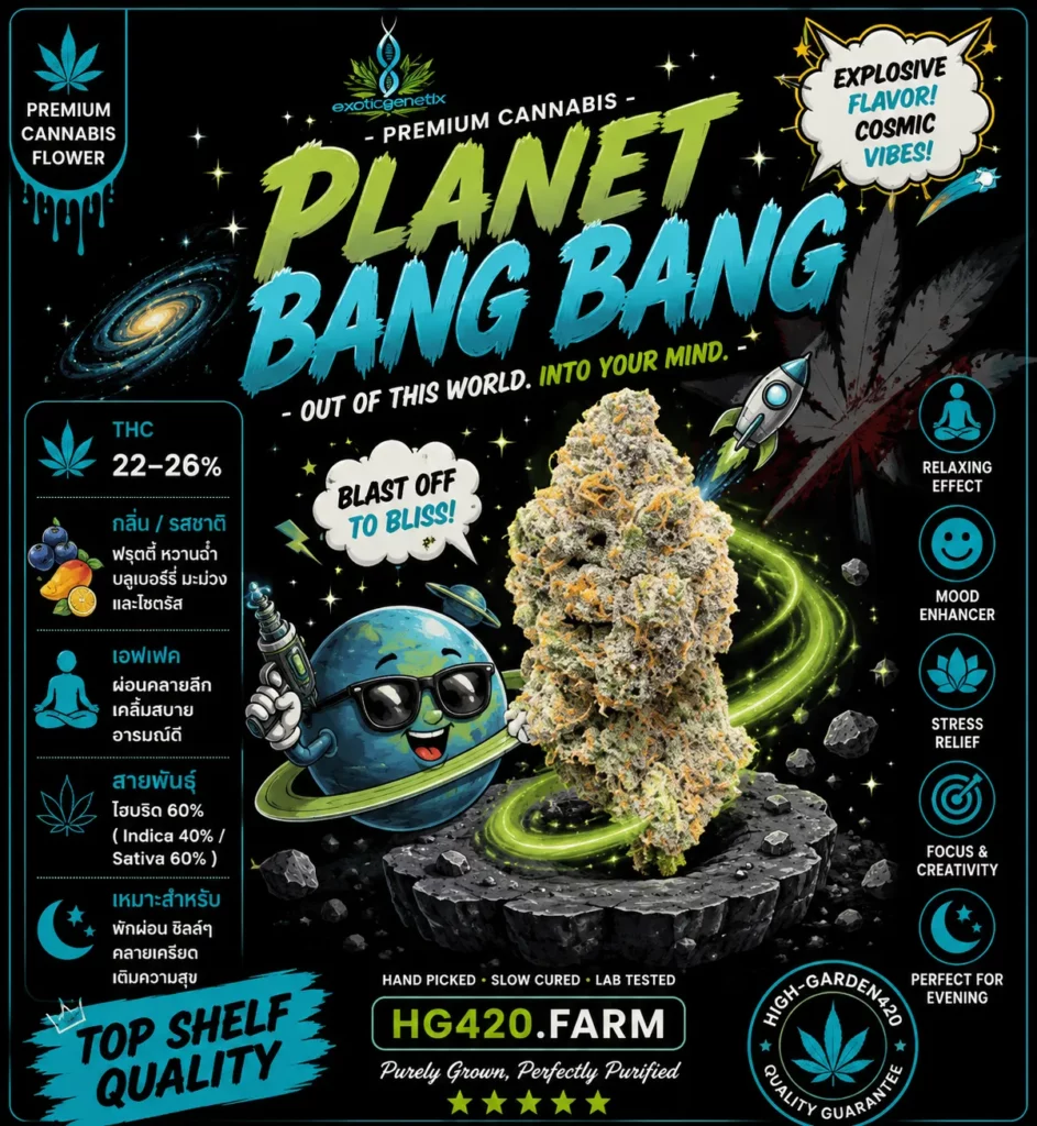 Planet Bang Bang strain สายพันธุ์กัญชา พร้อมข้อมูล THC กลิ่น รสชาติ และเอฟเฟกต์