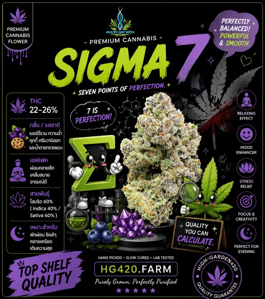 Sigma 7 strain สายพันธุ์กัญชา Hybrid จาก Exotic Genetix