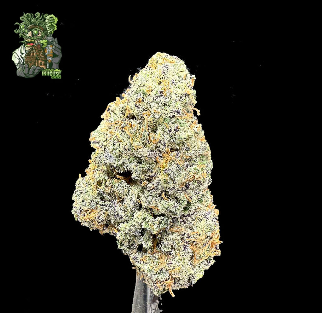 ดอกกัญชา Slurricane จากร้านขายกัญชา High Garden420 กลิ่นผลไม้และองุ่น หอมหวานแรงระดับพรีเมียม