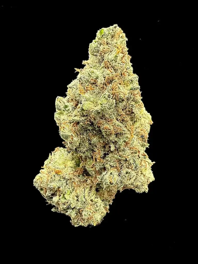 ดอกกัญชา Mandarin Cookies strain Ethos Cut บัดอ้วนแน่น สีครีมทอง กลิ่นส้มหวาน จาก High-garden420