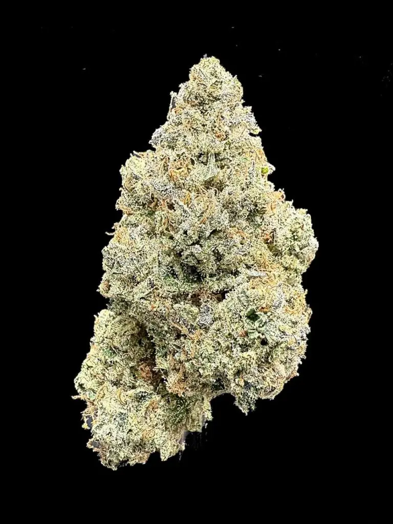 ดอกกัญชา Strawberry Pave strain จาก Compound Cut โชว์โครงสร้างบัดแน่น เทอร์ปีนหวานผลไม้ จาก High-garden420