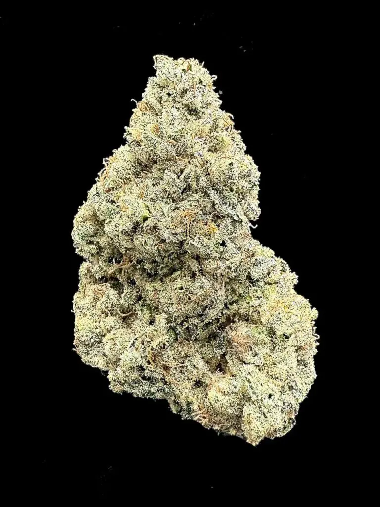 ดอกกัญชา Strawberry Pave strain จาก Compound Cut ทรงอ้วนแน่น สีครีมทอง เทอร์ปีนหวานผลไม้ จากร้าน High-garden420