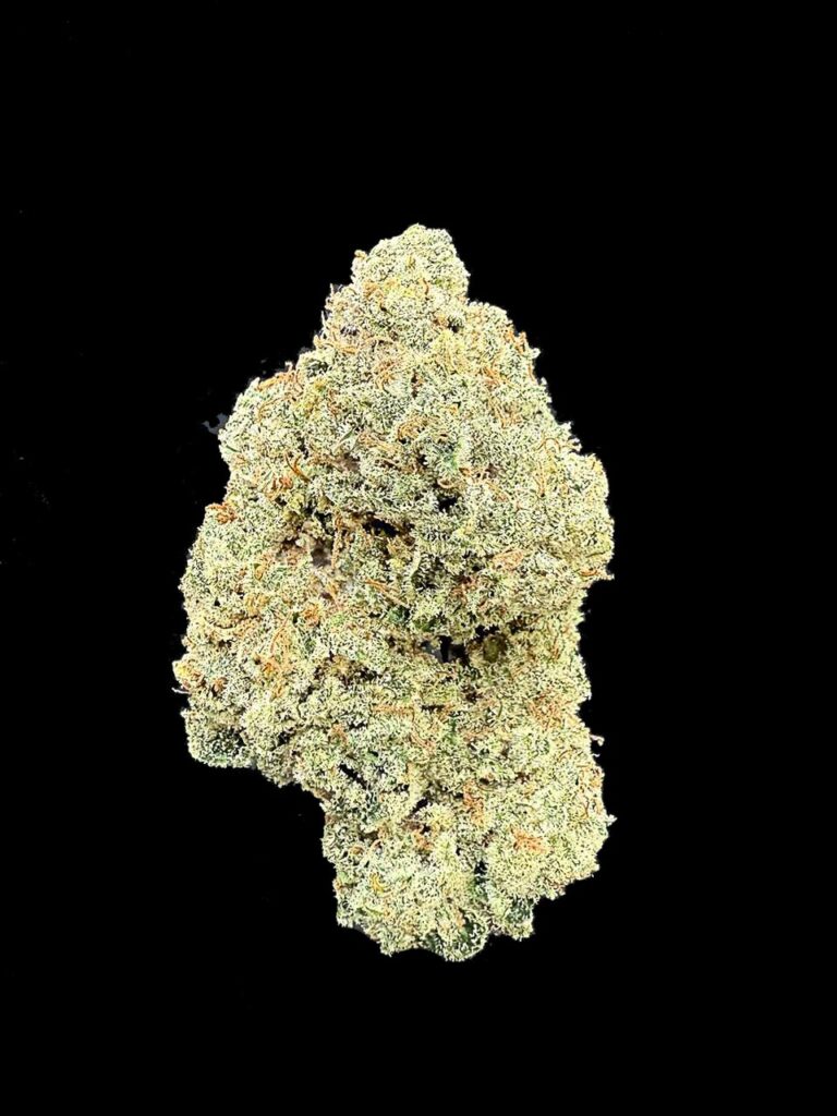 ดอกกัญชา Sugar Show strain Exotic Cut บัดฟูอ้วน สีครีมทอง กลิ่นหวานแบบขนม จาก High-garden420