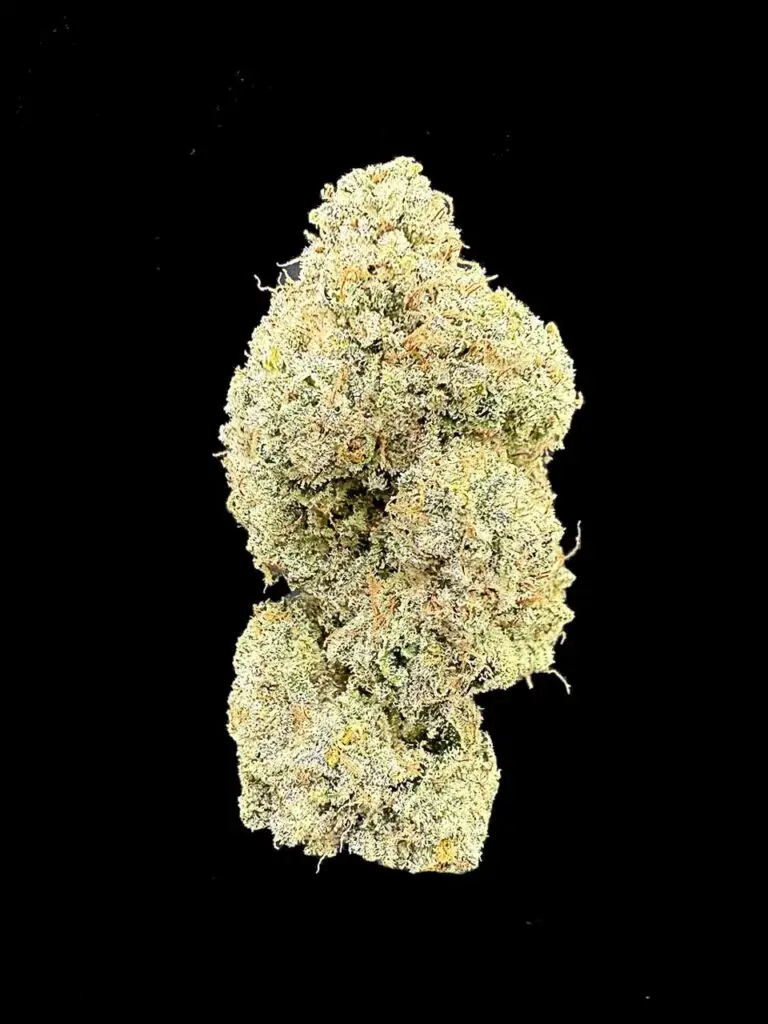 ดอกกัญชา Sugar Show strain Exotic Cut ทรงยาวฟู สีครีมทอง เทอร์ปีนหวานแบบขนม จาก High-garden420