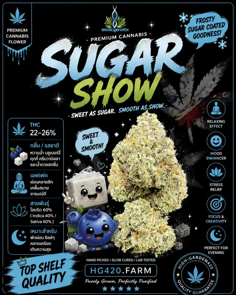 Sugar Show strain สายพันธุ์กัญชา Exotic Genetix High-Garden420