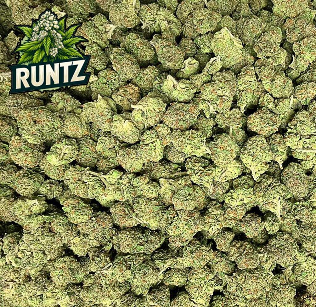 ดอกป็อป White Runtz ดอกเล็กแน่น สีเขียวอ่อน ไทรโคมขาว เคลือบทั่วดอก