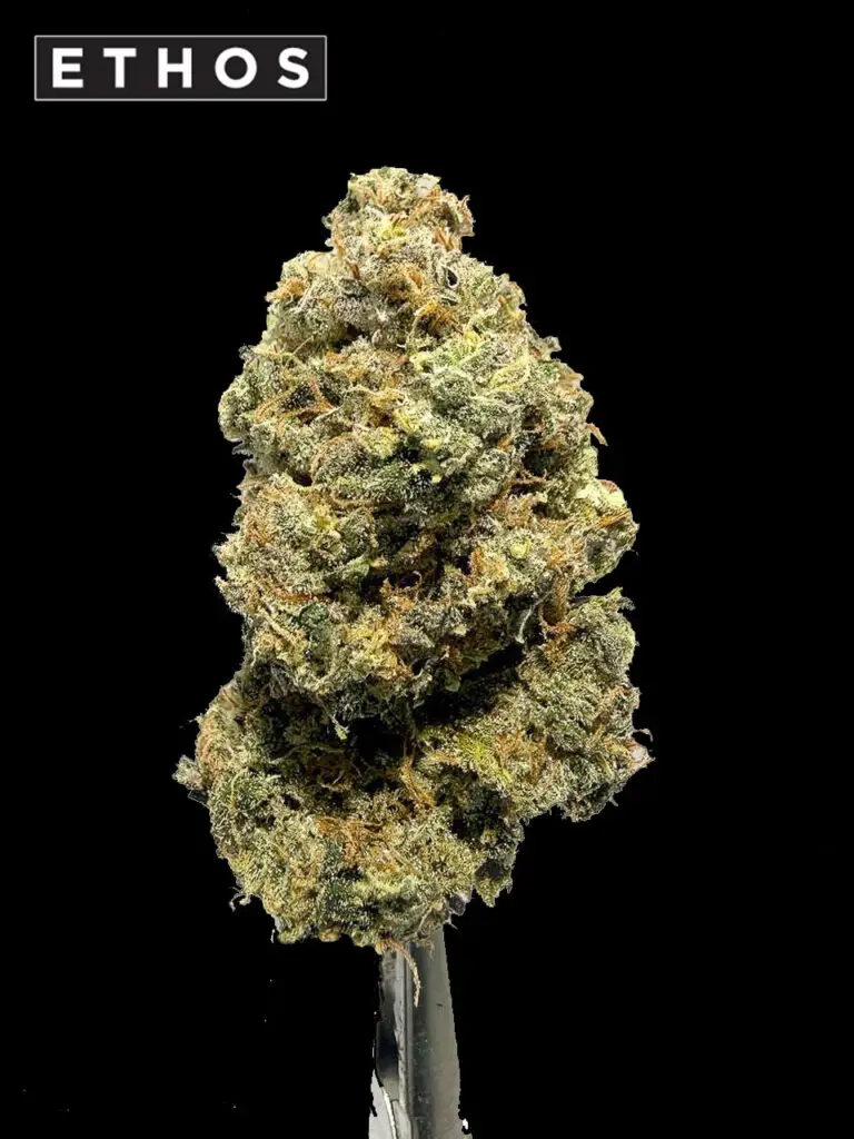 Booberry Cookie strain