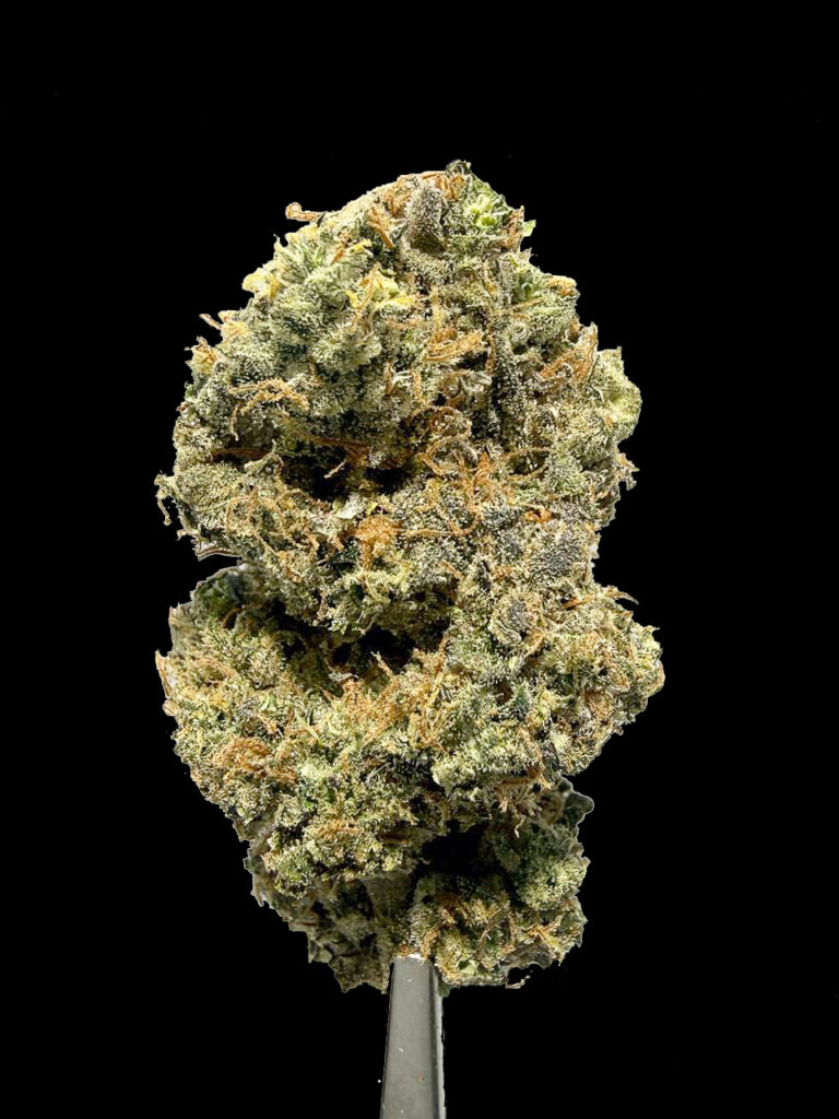 ดอกกัญชา Booberry Cookies หลายชั้น ดอกแน่น ไตรโคมขาว