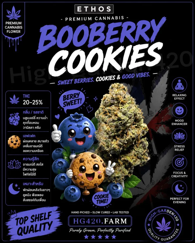 Booberry Cookies สายพันธุ์กัญชา ดอกกัญชา High-Garden420