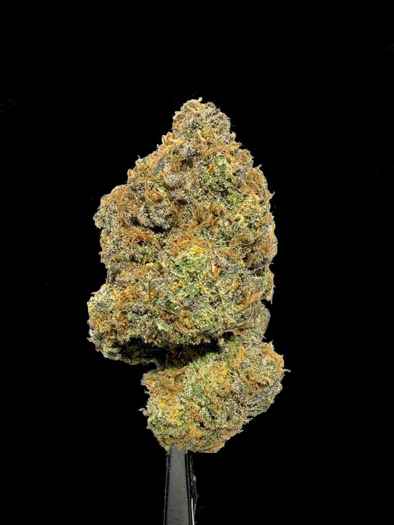 Cherry Brust ดอกกัญชา ไฮบริด กลิ่นเชอร์รี่ High-garden420