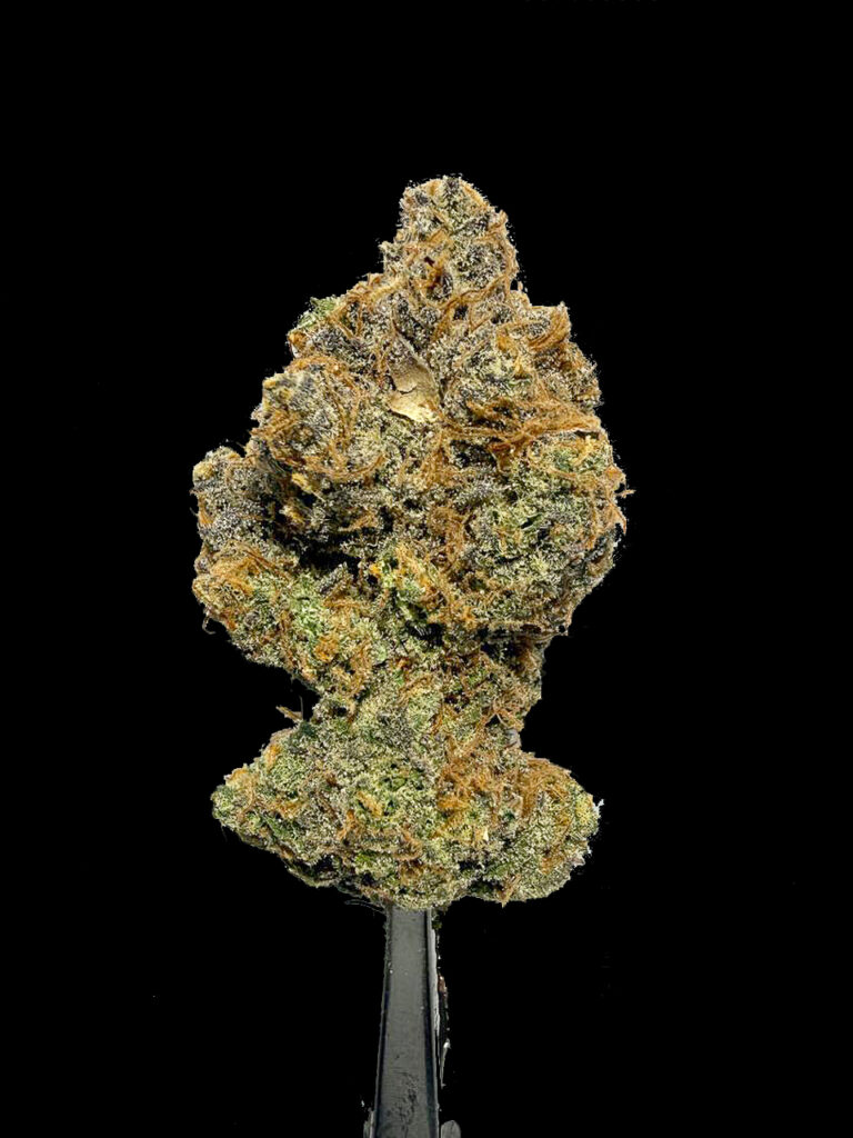 ดอกกัญชา Cherry Brust โครงสร้างดอกแน่น High-garden420