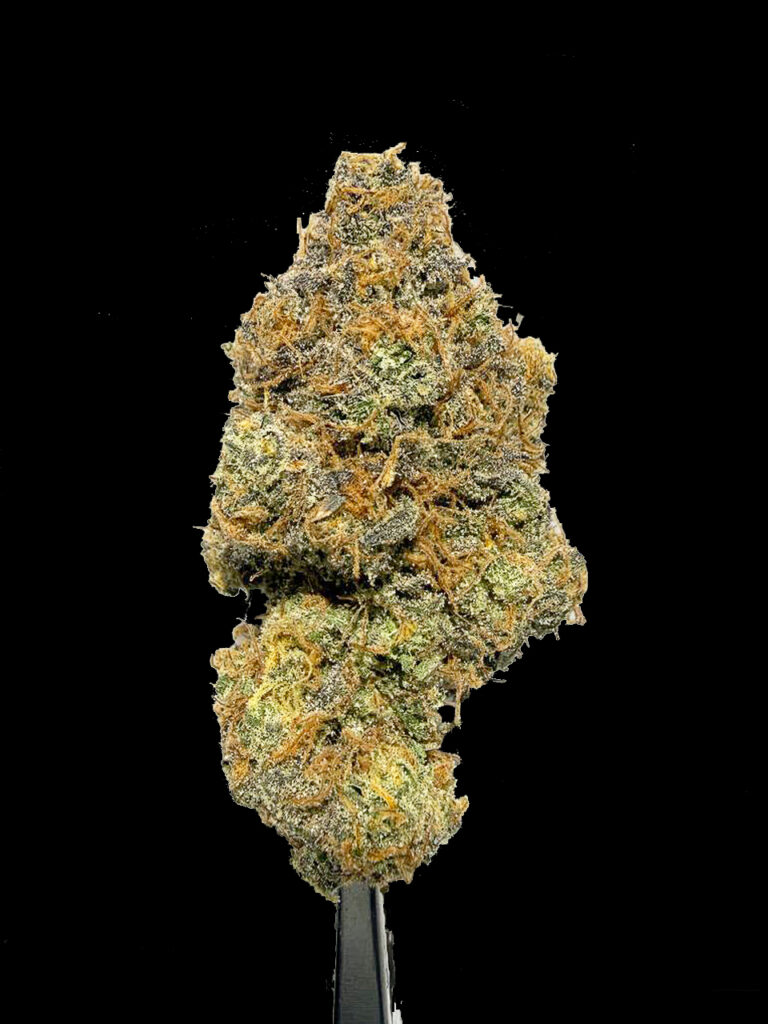 Cherry Brust ดอกกัญชา Hybrid กลิ่นเชอร์รี่ High-garden420