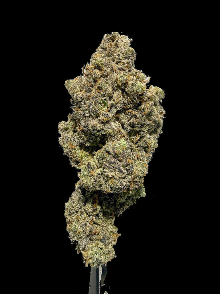 Dos Si Dos x Sherb strain cannabis flower ดอกกัญชาสายพันธุ์ Dos Si Dos x Sherb จากร้าน High-garden420