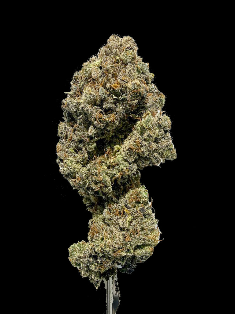 Dos Si Dos x Sherb indoor cannabis flower covered in trichomes High-garden420