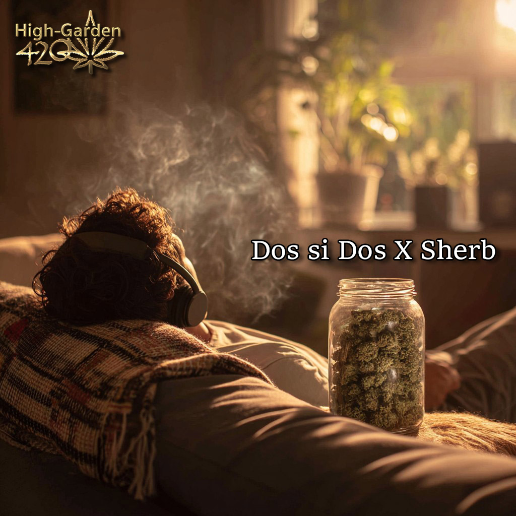 Dos Si Dos x Sherb cannabis lifestyle relaxing evening High-garden420