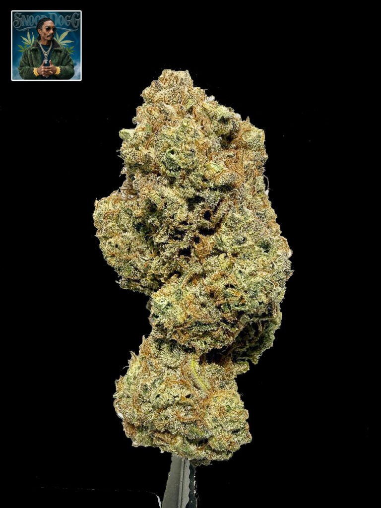 Snoop Dog OG strain Snoop Dog OG cannabis flower ดอกกัญชา Snoop Dog OG