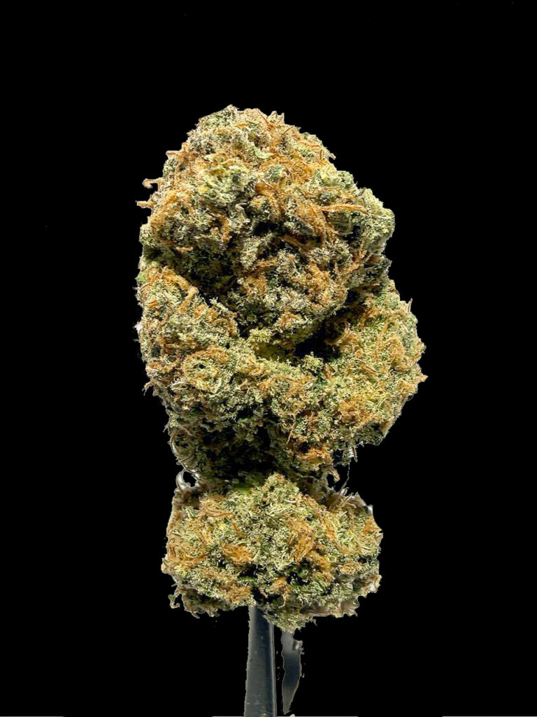 ดอกกัญชา LSD สายพันธุ์ Hybrid กลิ่น blueberry cookies