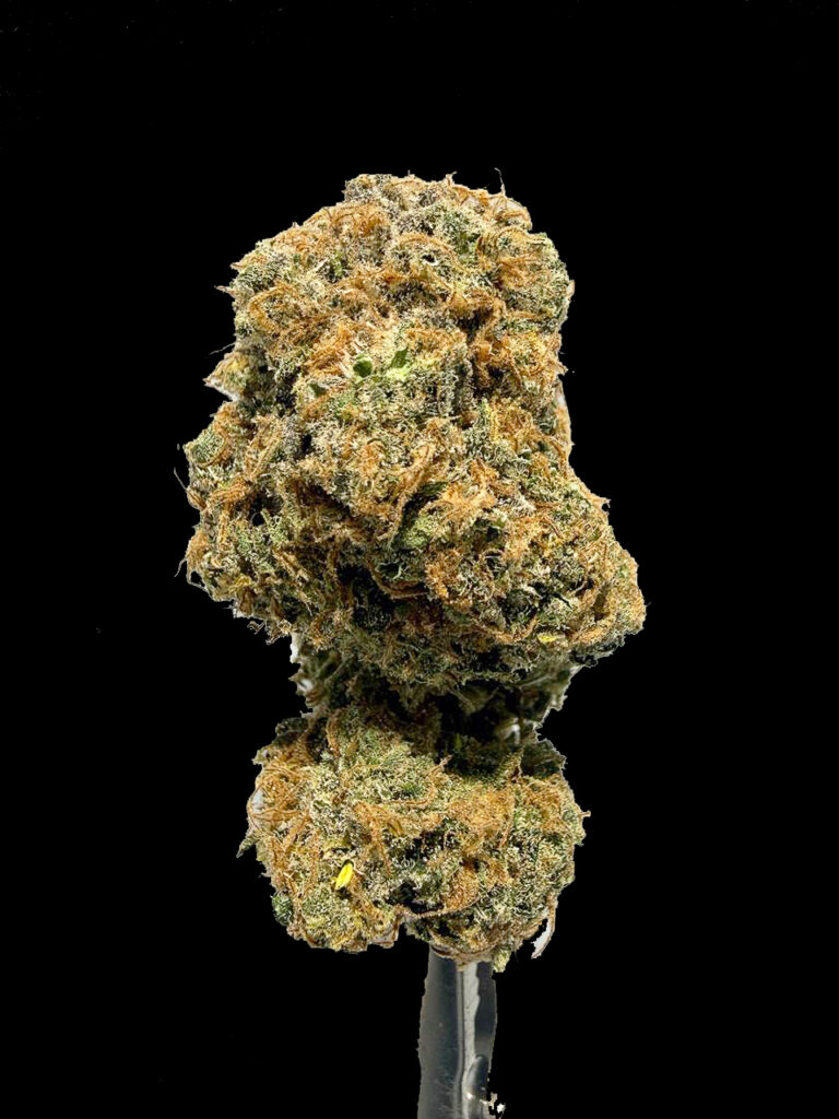 ดอกกัญชา LSD ดอกแน่น เรซิ่นเยอะ สาย Hybrid