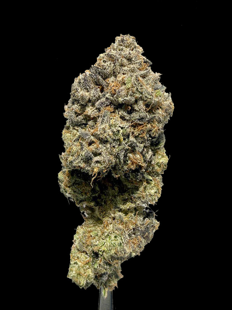 Lemon Cherries Gelato Strain RX1 cannabis flower dense trichomes hybrid strain High-garden420