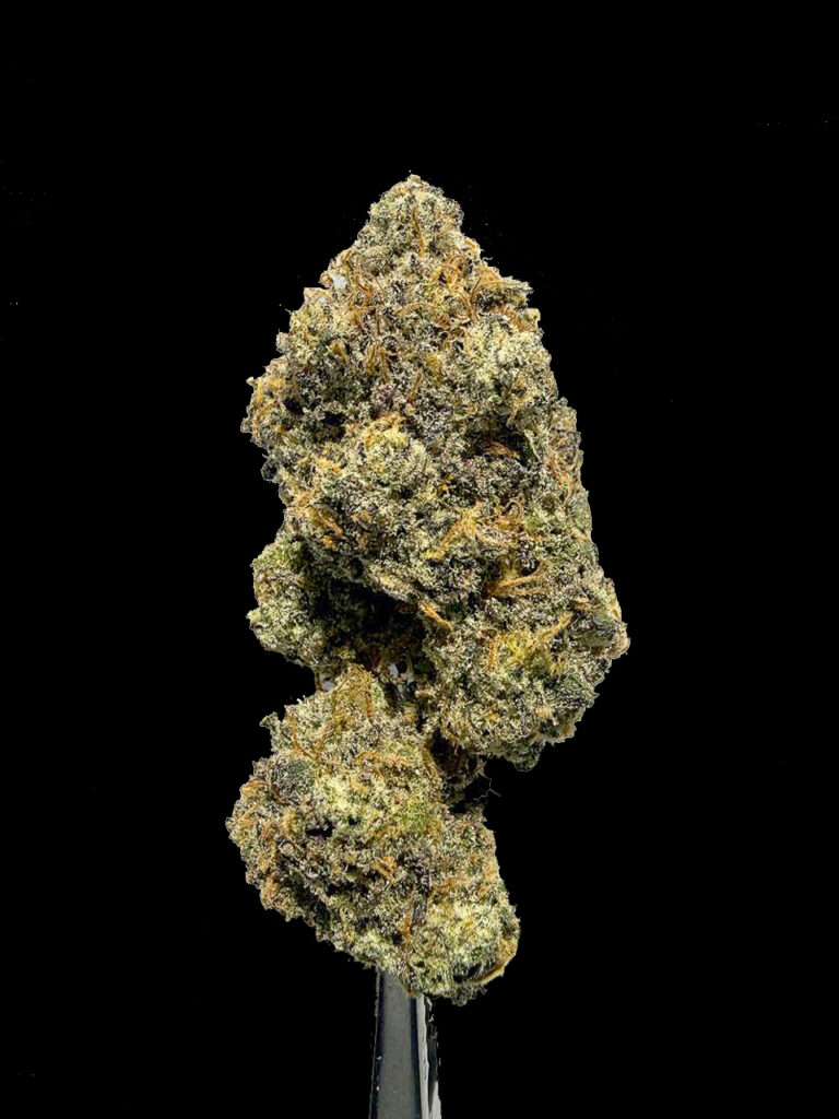 ดอกกัญชา Lemon Cherries Gelato strain RX1 ดอกแน่น เรซิ่นเยอะ สายพันธุ์ไฮบริด