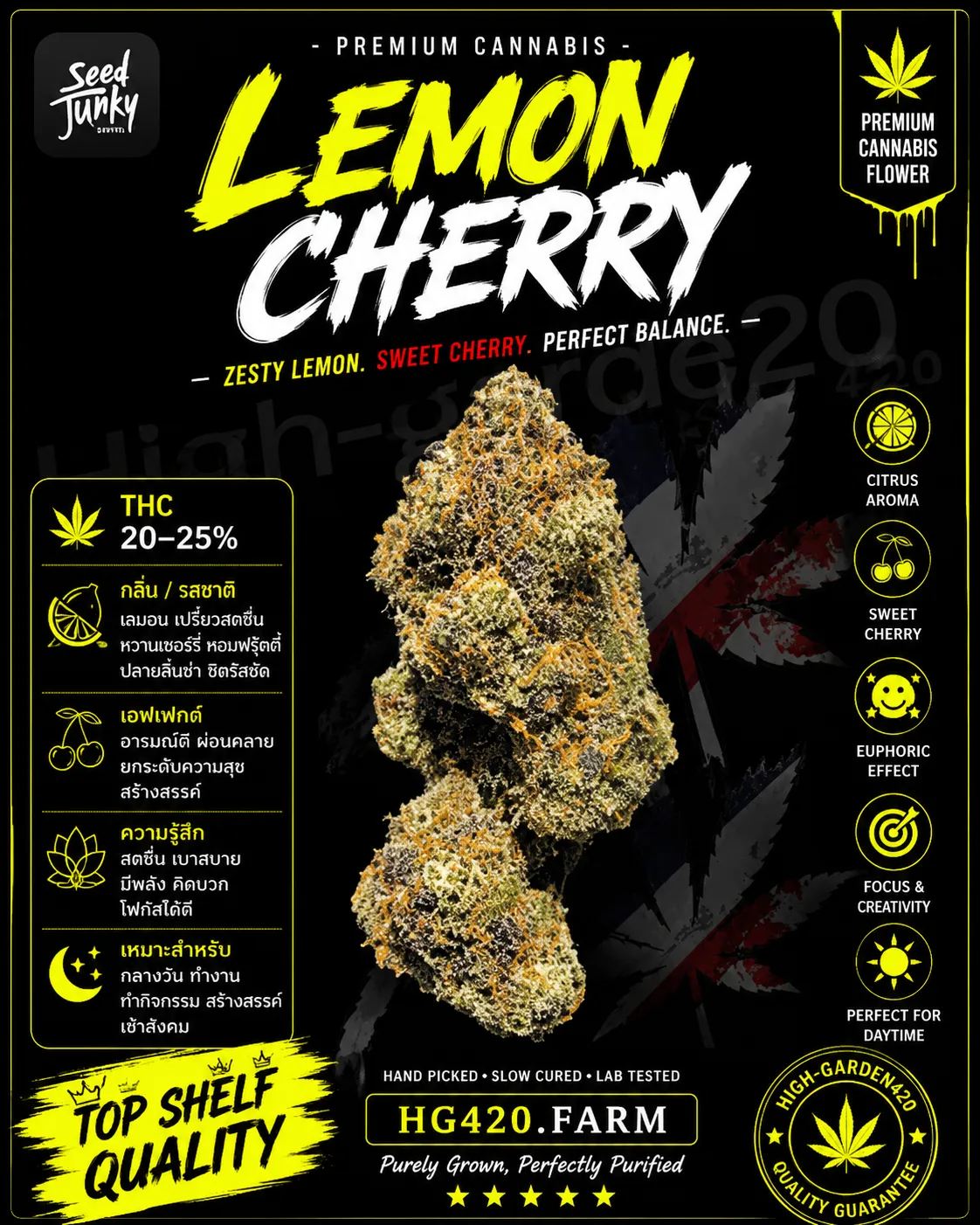 Lemon Cherry Gelato strain สายพันธุ์กัญชา พร้อมข้อมูล THC กลิ่น รสชาติ และเอฟเฟกต์