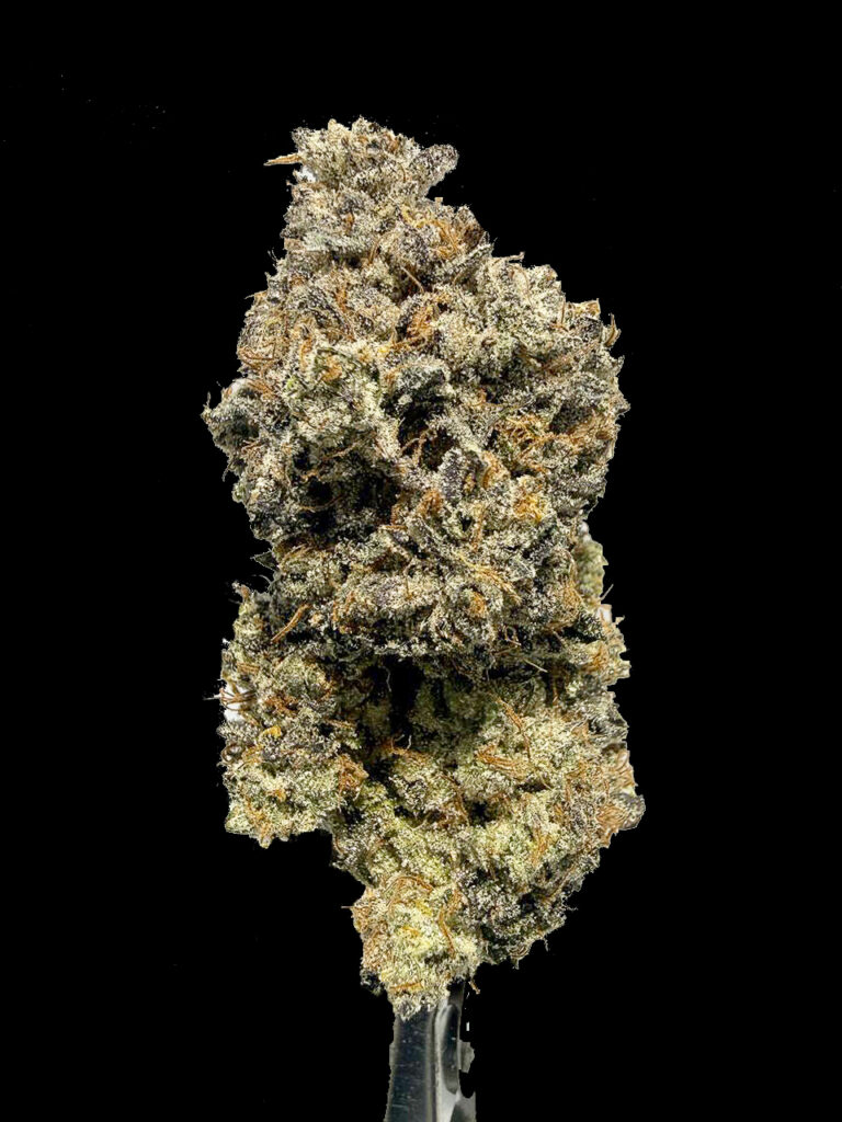 Metaverse strain cannabis flower close up ไฮบริด กลิ่นบลูเบอร์รี่คุกกี้