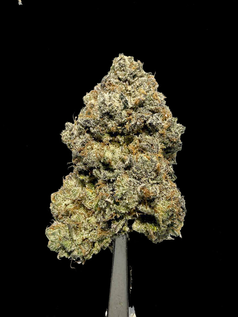 ดอกกัญชา Metaverse strain ดอกแน่น ไฮบริด