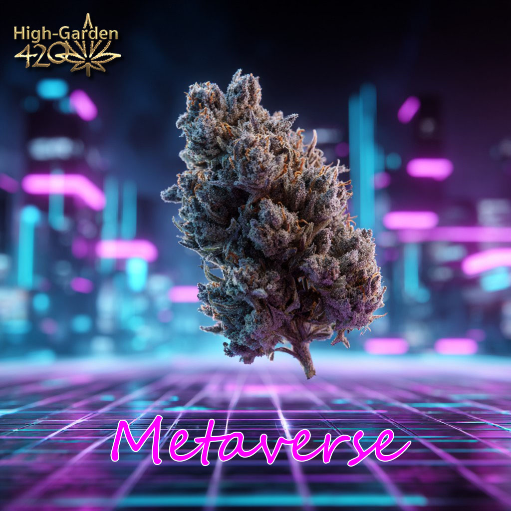 Metaverse strain cannabis futuristic cyberpunk neon city