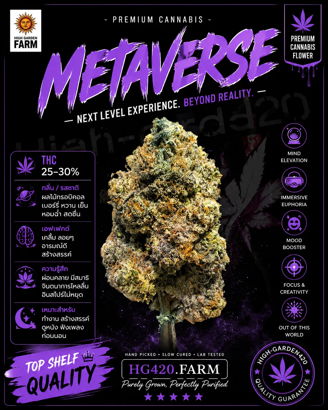 Metaverse strain สายพันธุ์กัญชา ดอกจริง High-garden420