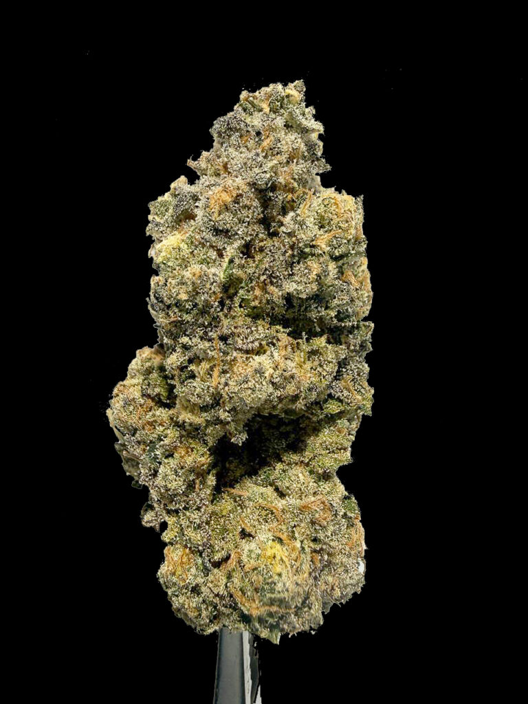 Mimosa x Orange Punch cannabis flower dense structure trichomes citrus aroma